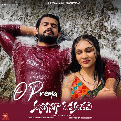 Anaganaga Oka Adavi