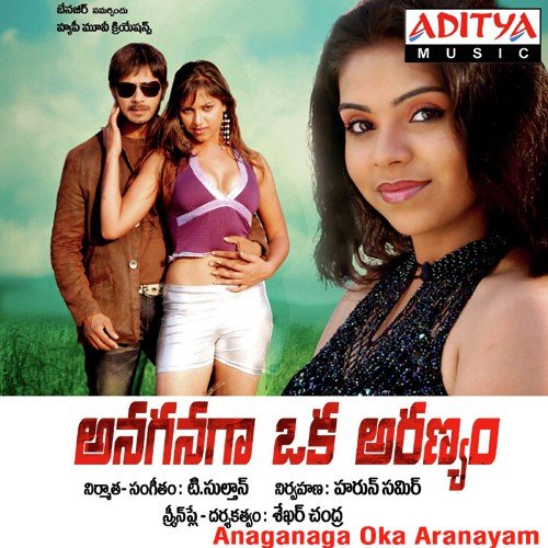 Anaganaga Oka Aranayam