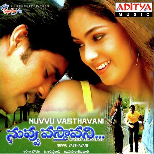 Nuvvu Vasthavani