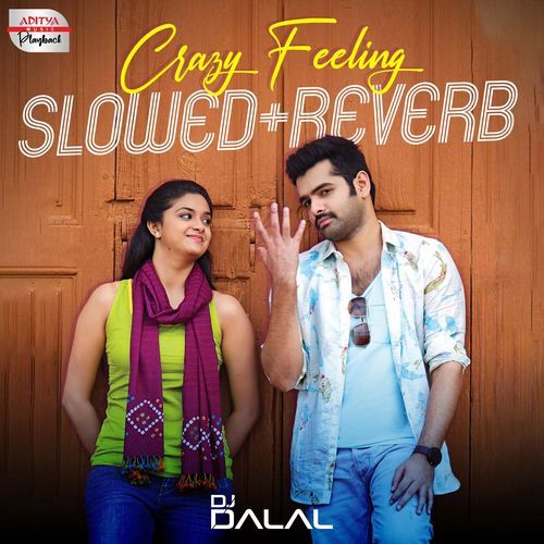 Crazy Feeling Slowed And Reverb (From Nenu Sailaja)