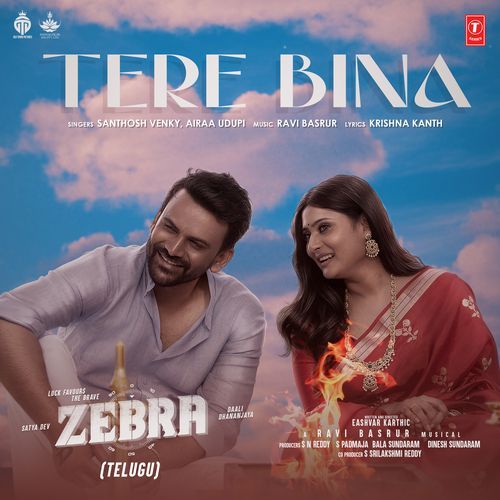 Tere Bina  From  Zebra