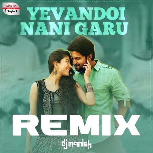 Yevandoi Nani Garu - Official Remix  From  Mca