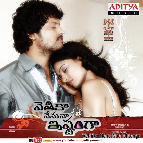 Vethika Nenu Naa Ishtanga