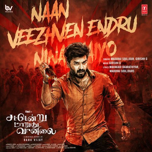 Naan Veezhven Endru Ninaithaiyo (From Sattendru Maarudhu Vaanilai)