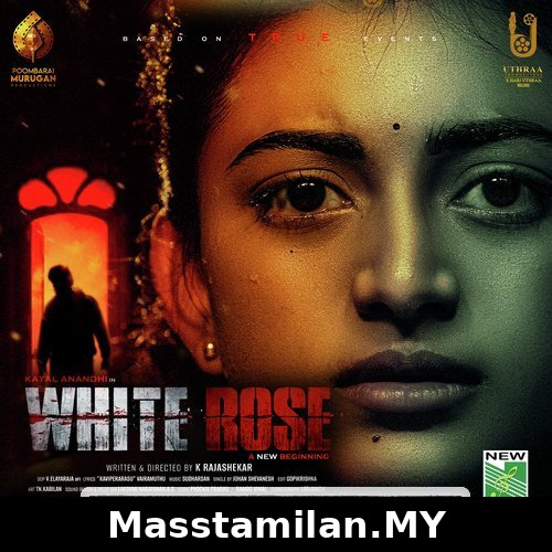 White Rose