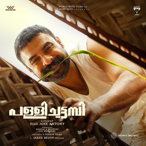 Pallichattambi