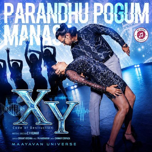 XY Mayavan Universe